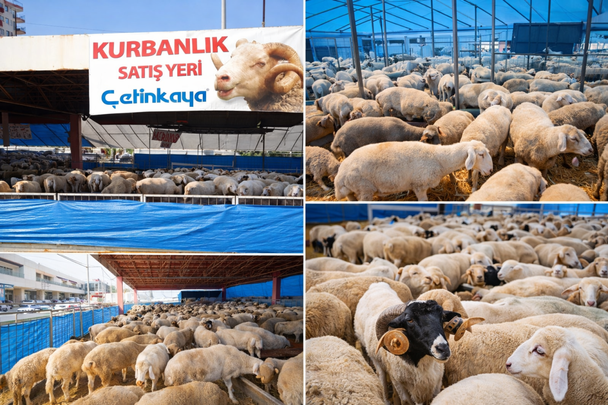 Çetinkaya’dan Kurban Bayramı’na Özel Hizmetler!