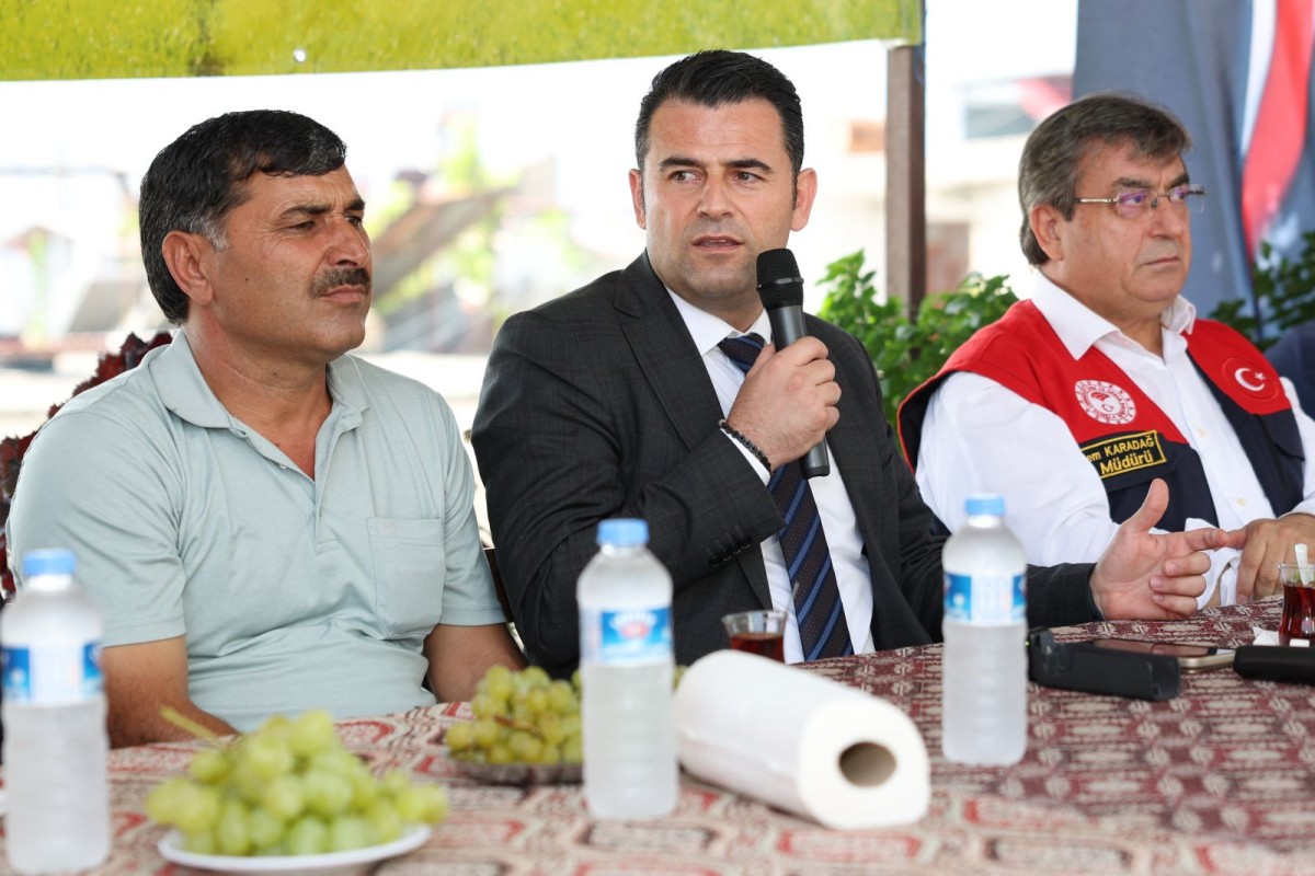 Akdeniz’de Meyve Sineğiyle Mücadele Kararlılıkla Sürdürülüyor