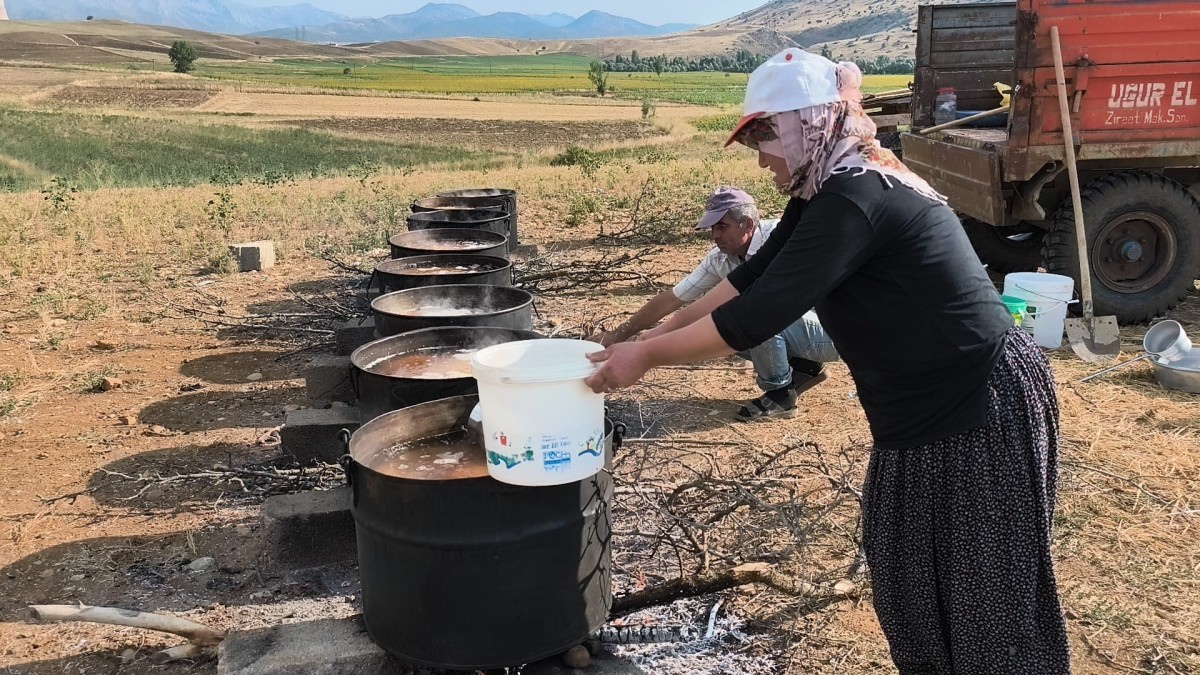 Üniversite Öğrencileri Tarlada Ailelerine Destek Oluyor